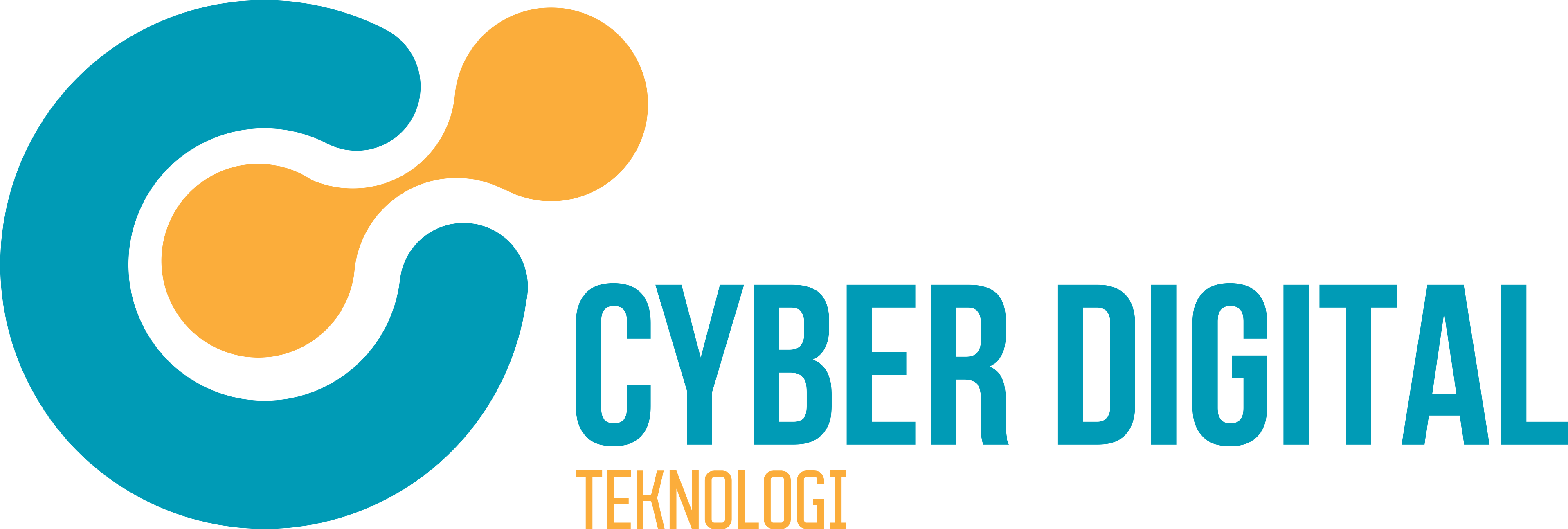 PT Cyber Digital Teknologi